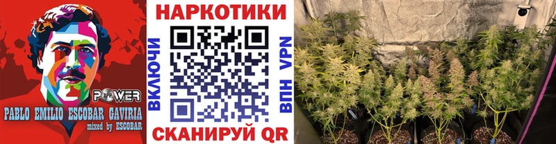 Купить наркотики цена Ярославль Галлюциногенные грибы  КОКАИН  ГАШ  Меф  МАРИХУАНА  НБОМе  СОЛЬ 