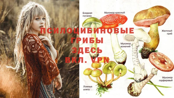 герыч Бугульма