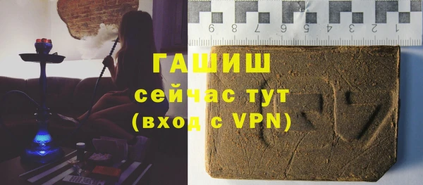 МДПВ Бородино