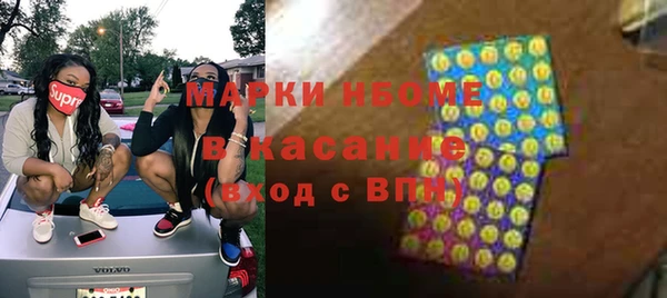 МДПВ Бородино
