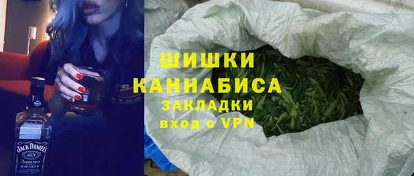 МДПВ Бородино